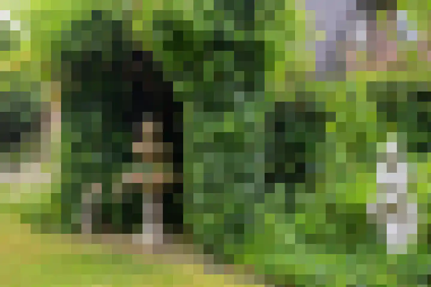 Wulpdonk 5 Veghel thumbnail 44