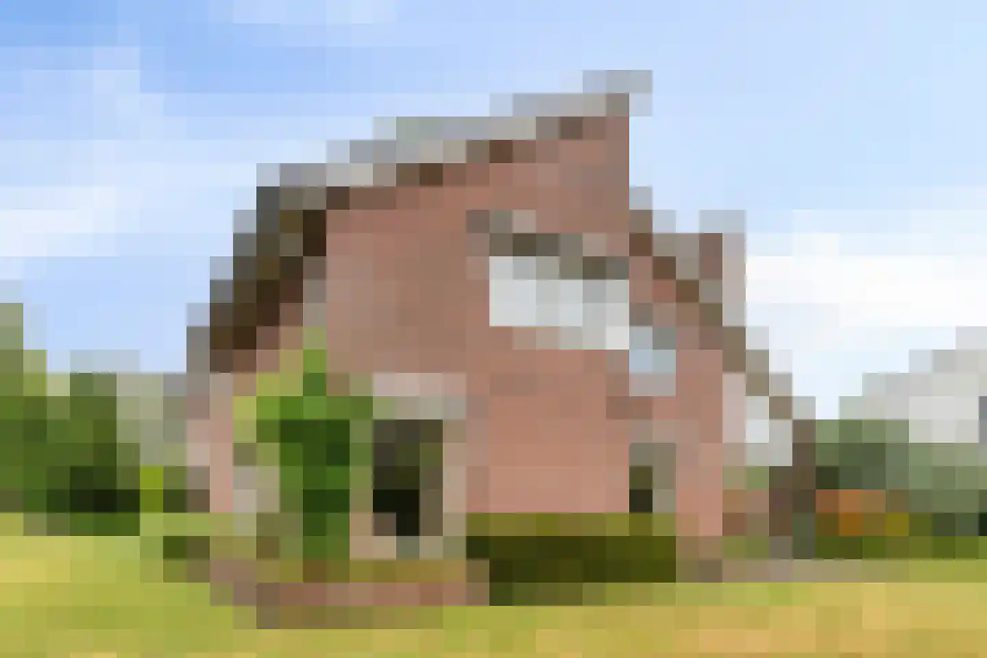 Wulpdonk 5 Veghel thumbnail 45