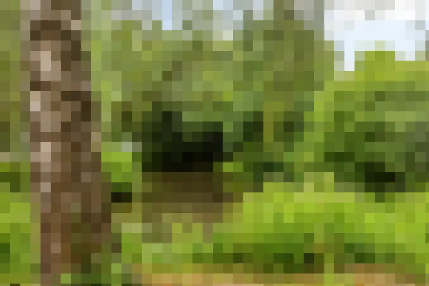Wulpdonk 5 Veghel thumbnail 48