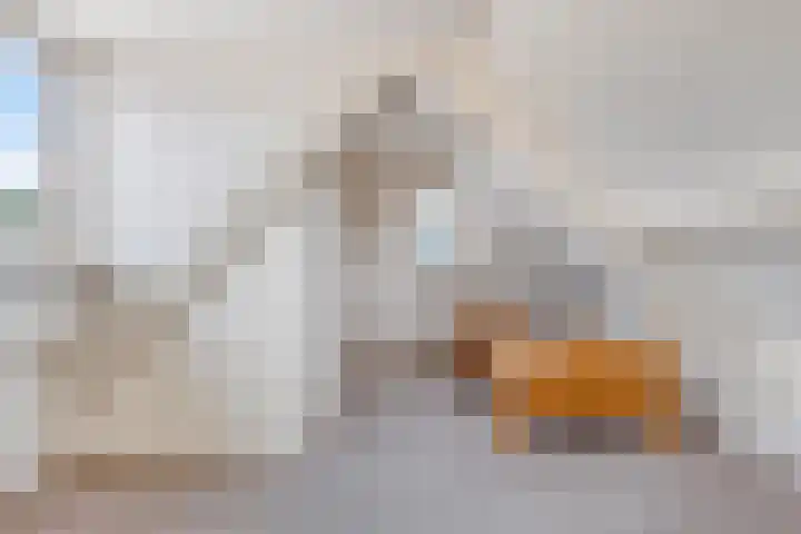 Wulpenbek 13 Hoek thumbnail 23