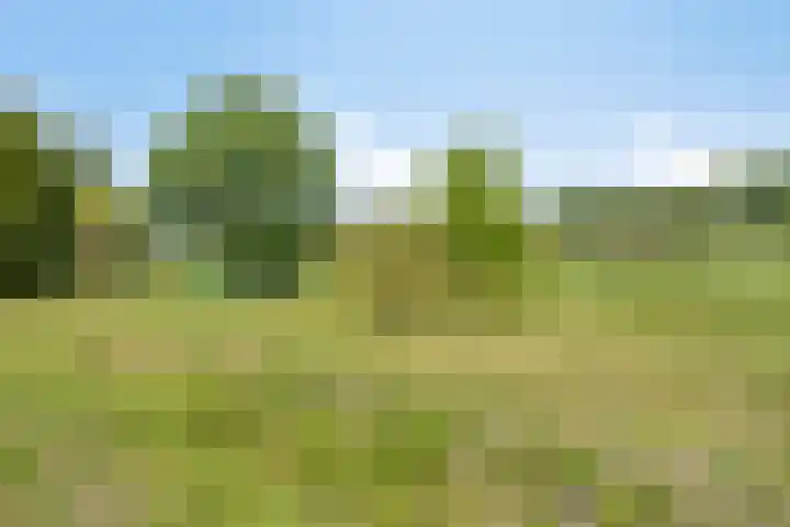 Wulpenbek 13 Hoek thumbnail 31