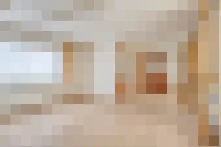 Wulpenbek 13 Hoek thumbnail 4