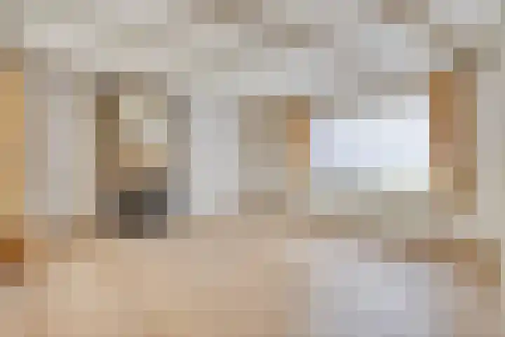 Wulpenbek 13 Hoek thumbnail 5