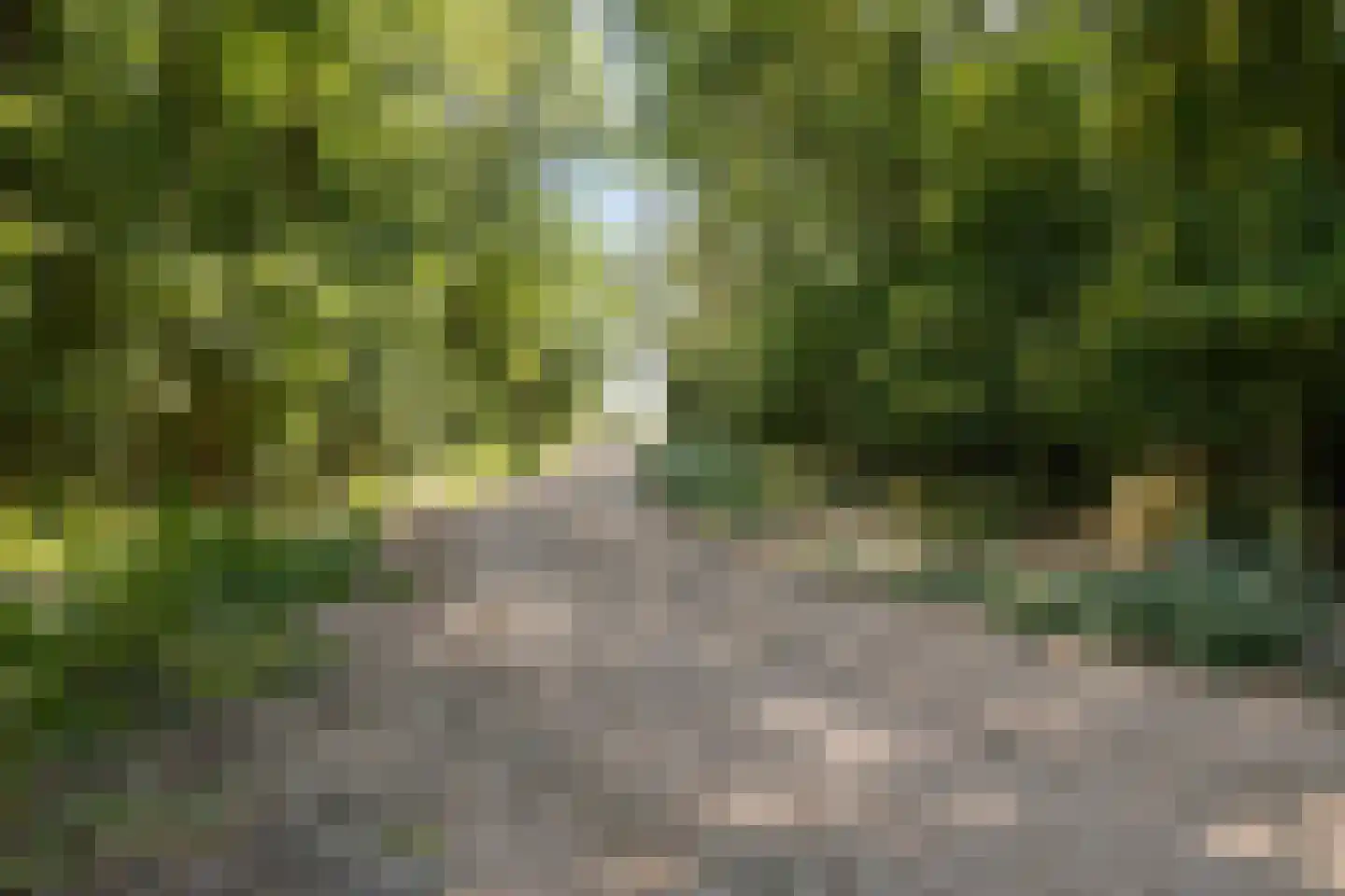 Wulpenburgseweg 4 Veere thumbnail 86