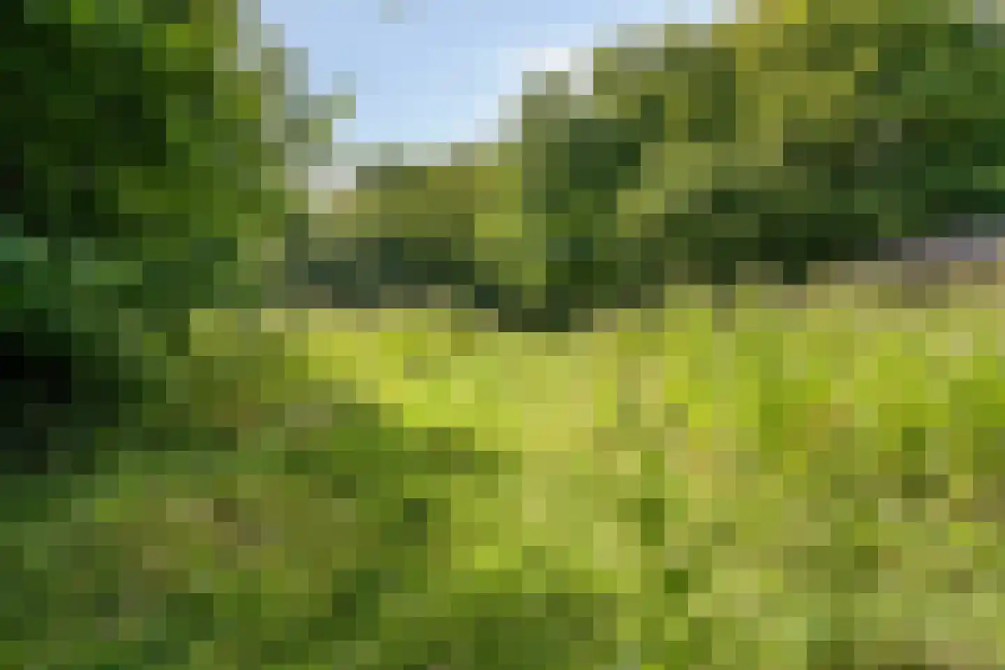 Wulpenburgseweg 4 Veere thumbnail 87