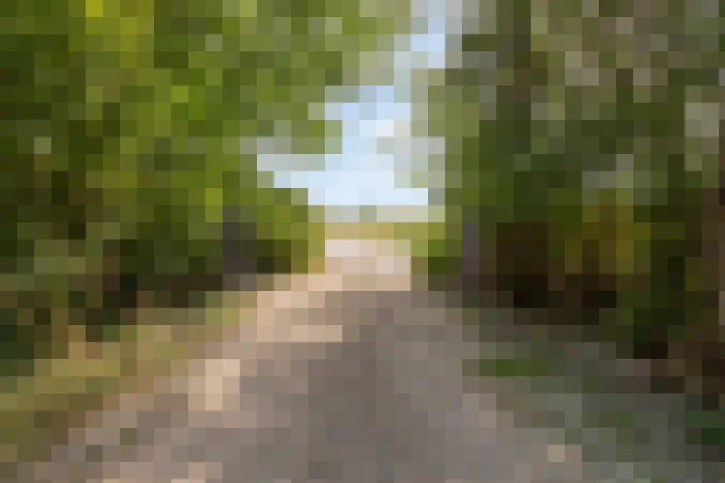 Wulpenburgseweg 4 Veere thumbnail 88