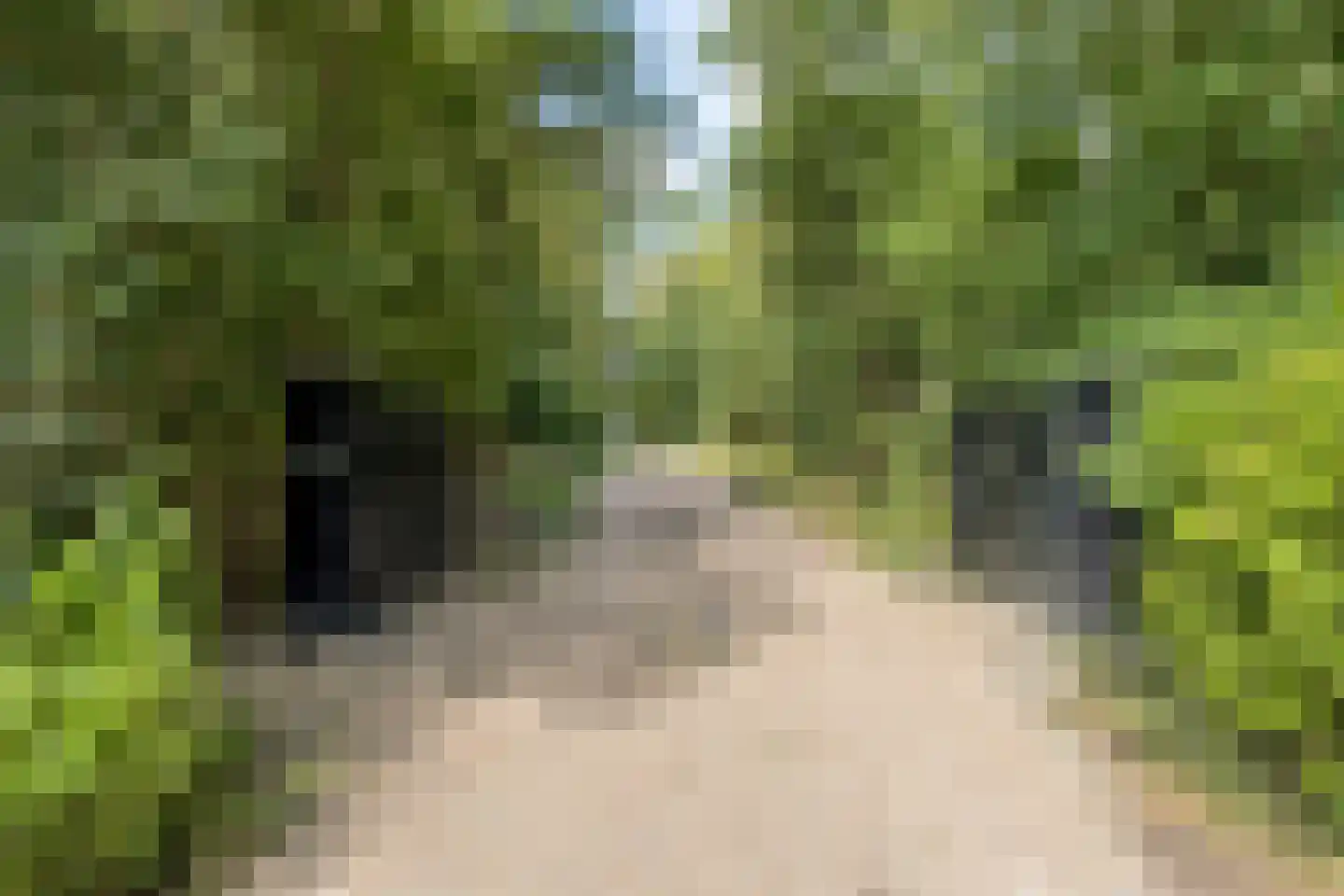 Wulpenburgseweg 4 Veere thumbnail 89