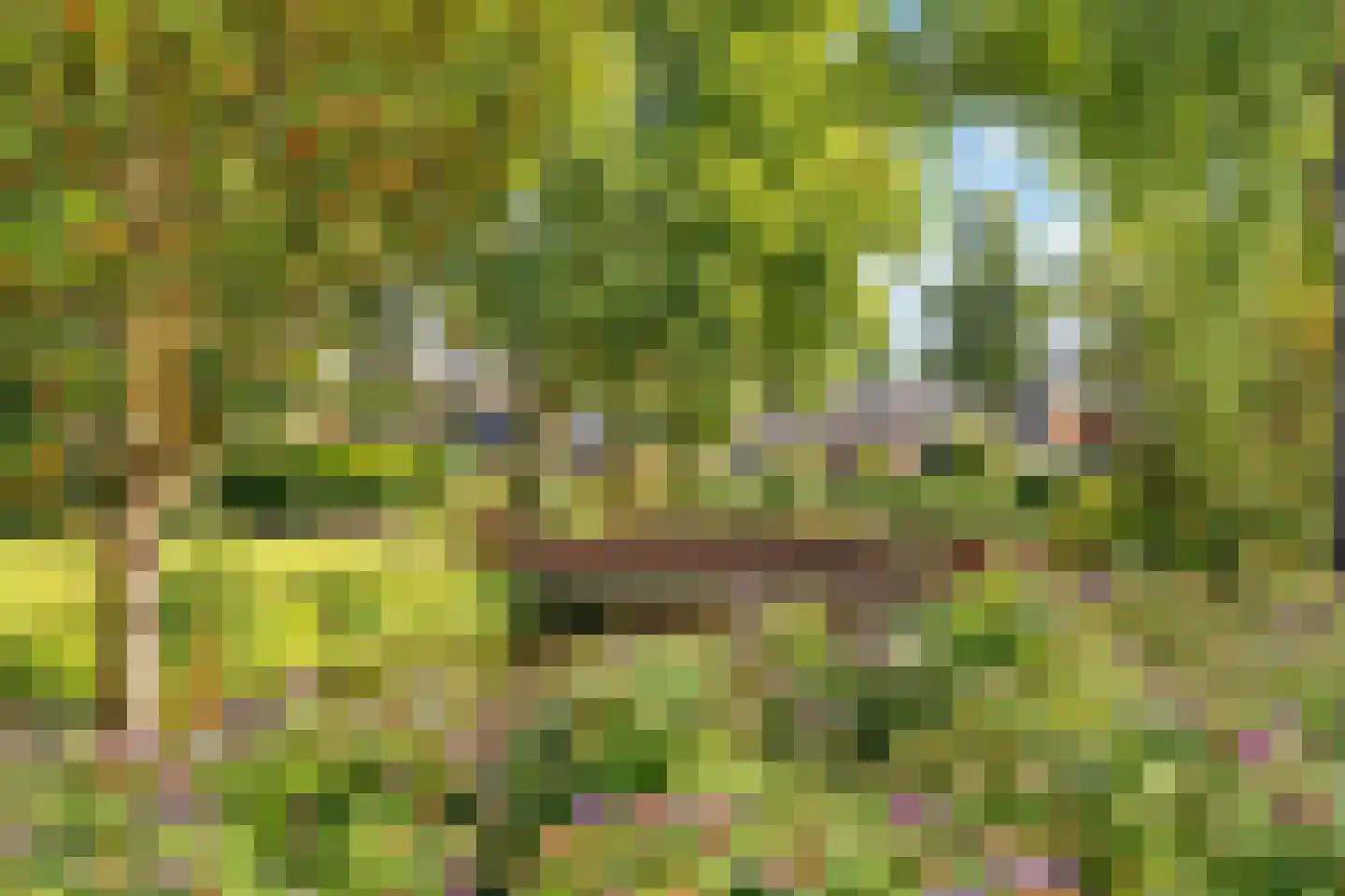 Wulpendaal 47 Nieuwerkerk aan den IJssel thumbnail 39