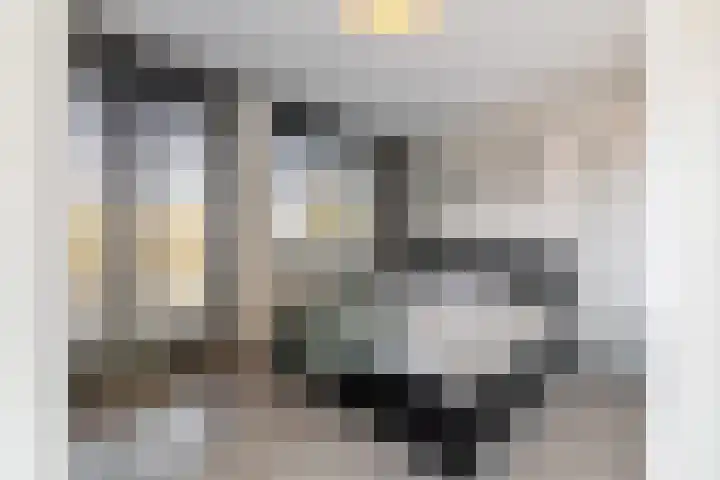 Wulpendaal 63 Nieuwerkerk aan den IJssel thumbnail 24