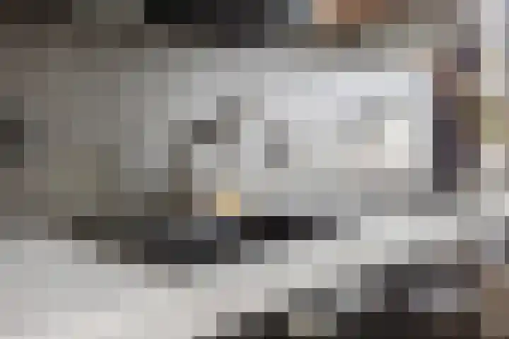 Wulpendaal 71 Nieuwerkerk aan den IJssel thumbnail 10