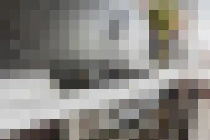 Wulpendaal 71 Nieuwerkerk aan den IJssel thumbnail 11