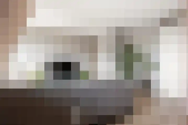 Wulpendaal 71 Nieuwerkerk aan den IJssel thumbnail 14