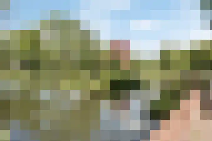 Wulpendaal 71 Nieuwerkerk aan den IJssel thumbnail 27