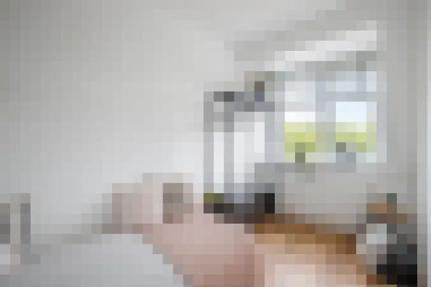 Wulpendaal 77 Nieuwerkerk aan den IJssel thumbnail 22