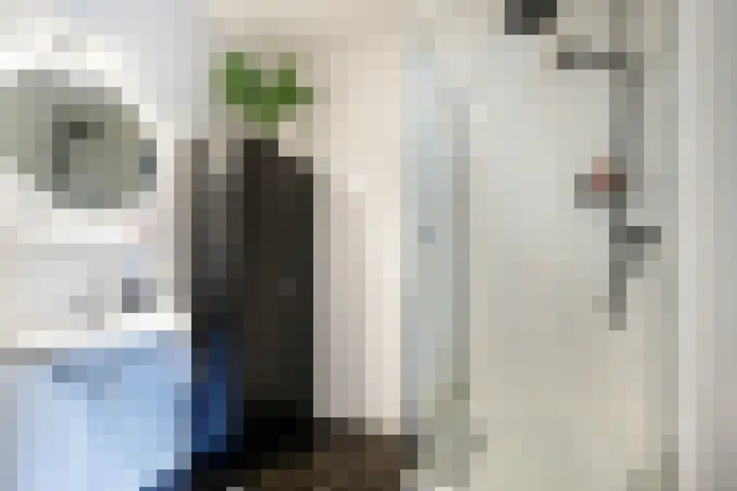 Wulpendaal 77 Nieuwerkerk aan den IJssel thumbnail 23
