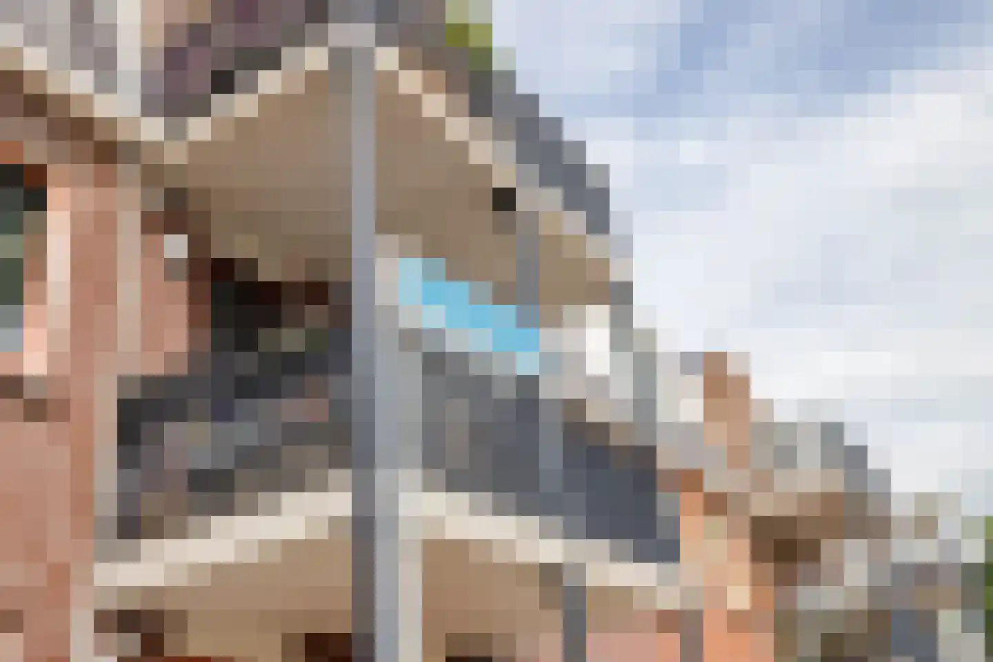 Wulpendaal 77 Nieuwerkerk aan den IJssel thumbnail 28