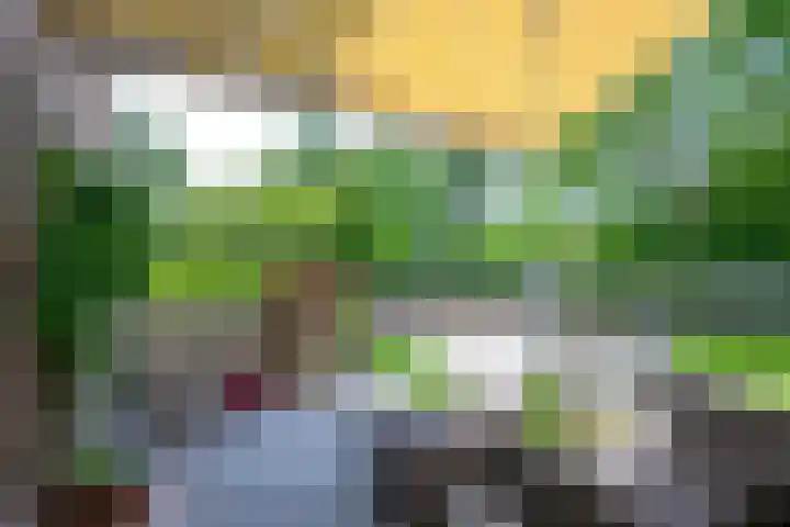 Wulpenhof 16 Schagen thumbnail 15