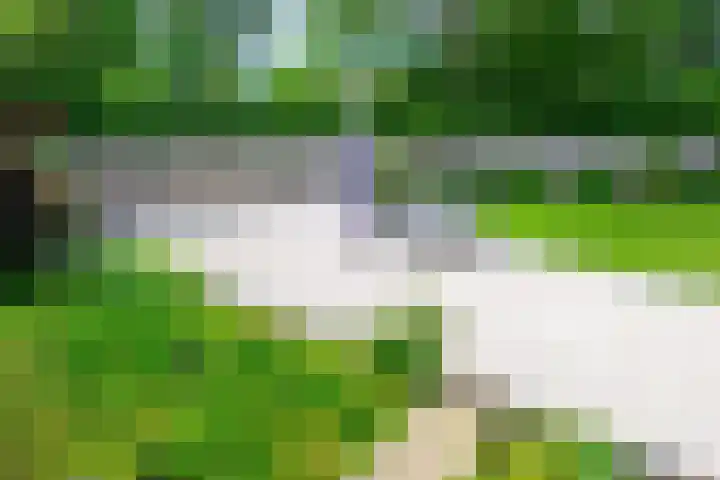 Wulpenhof 16 Schagen thumbnail 17