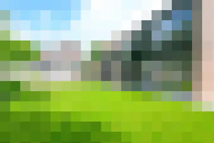 Wulpenhof 16 Schagen thumbnail 18
