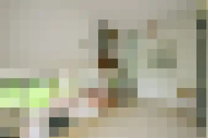 Wulpenhof 16 Schagen thumbnail 22
