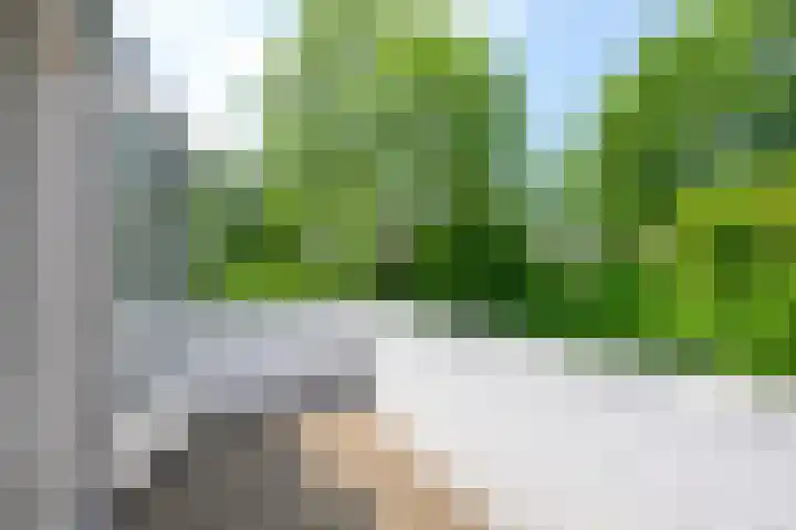 Wulpenhof 16 Schagen thumbnail 25