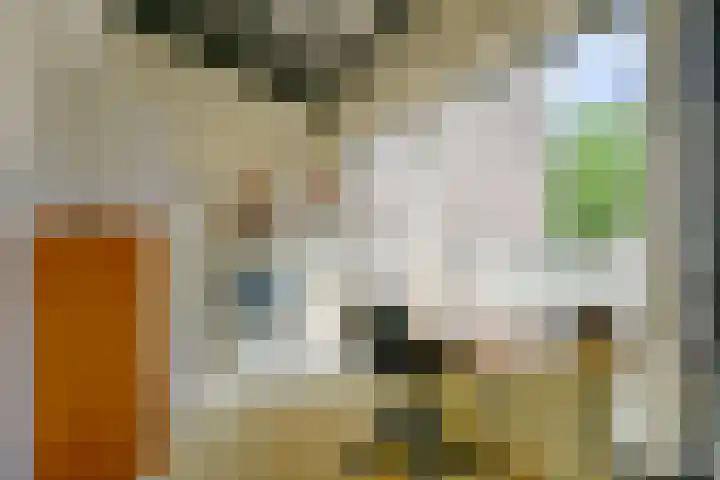 Wulpenhof 16 Schagen thumbnail 31