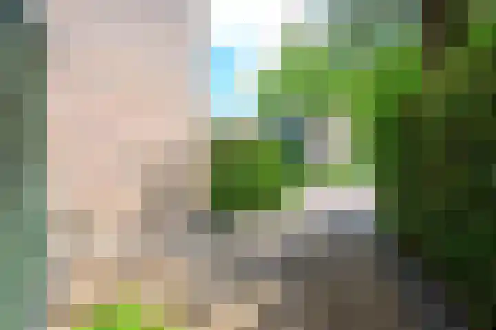 Wulpenhof 16 Schagen thumbnail 38