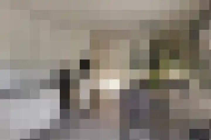 Wulpenhof 2 Schagen thumbnail 10