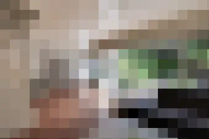 Wulpenhof 2 Schagen thumbnail 11