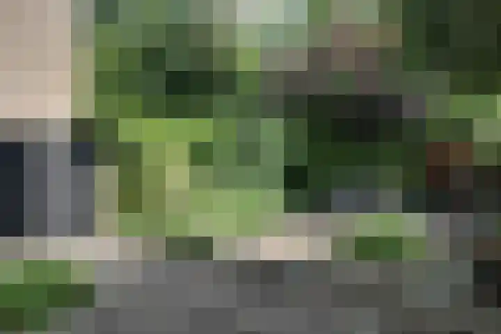 Wulpenhof 2 Schagen thumbnail 12
