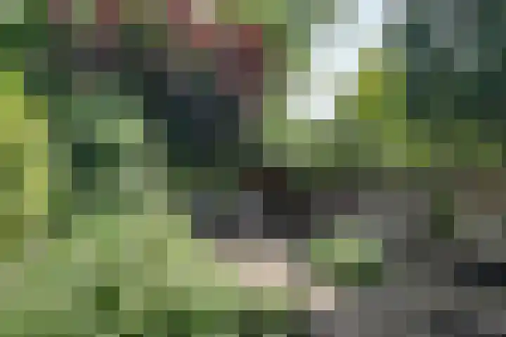 Wulpenhof 2 Schagen thumbnail 13