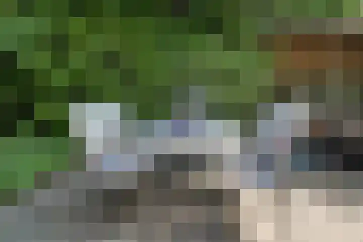 Wulpenhof 2 Schagen thumbnail 14