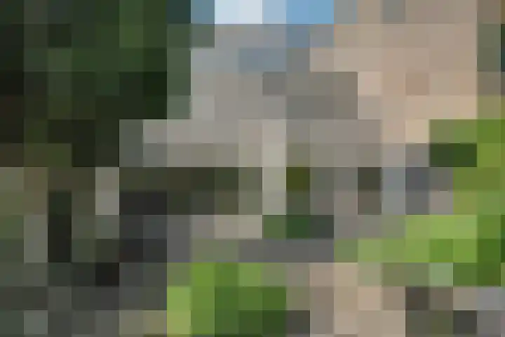 Wulpenhof 2 Schagen thumbnail 15