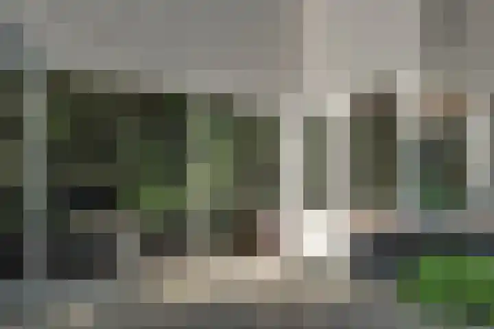 Wulpenhof 2 Schagen thumbnail 16