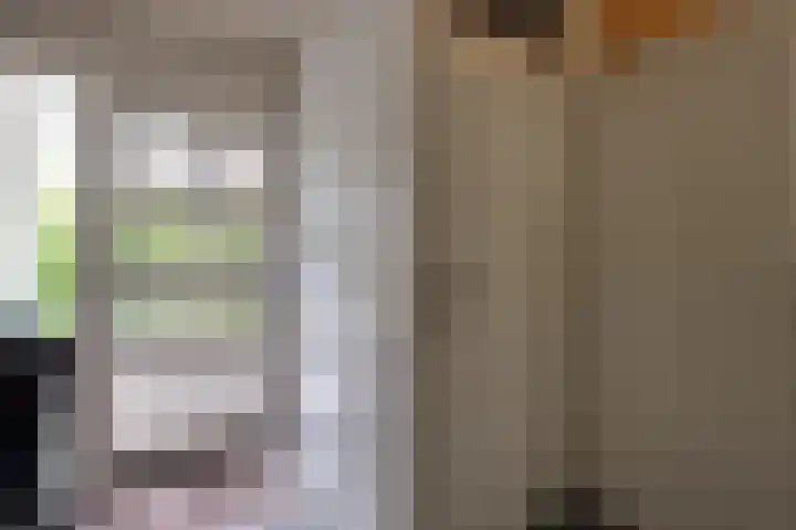 Wulpenhof 2 Schagen thumbnail 18