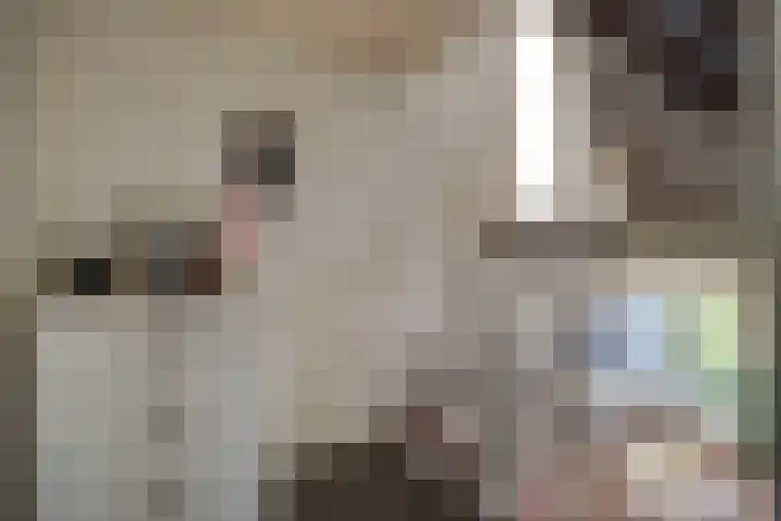 Wulpenhof 2 Schagen thumbnail 20