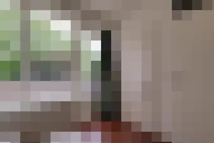 Wulpenhof 2 Schagen thumbnail 22