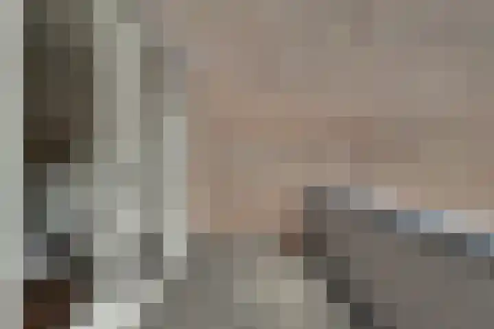 Wulpenhof 2 Schagen thumbnail 23