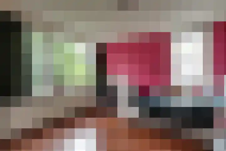 Wulpenhof 2 Schagen thumbnail 25