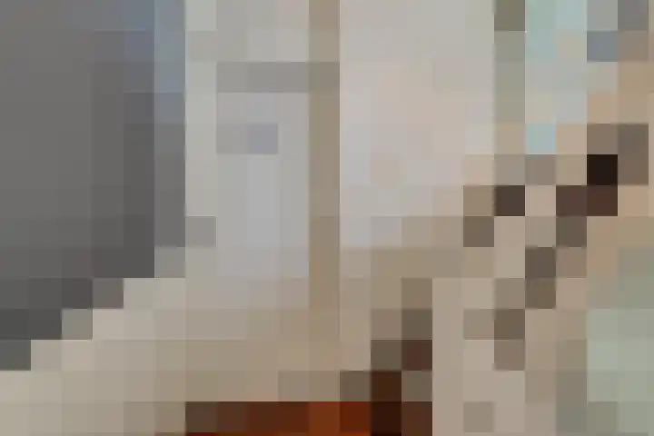 Wulpenhof 2 Schagen thumbnail 28