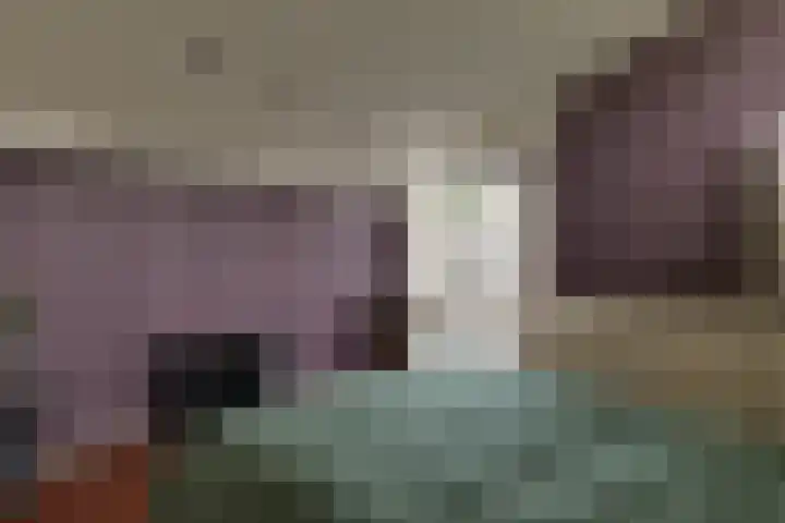 Wulpenhof 2 Schagen thumbnail 34
