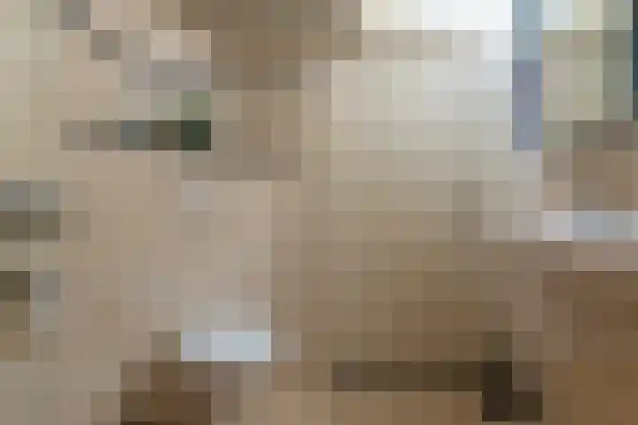 Wulpenhof 2 Schagen thumbnail 36