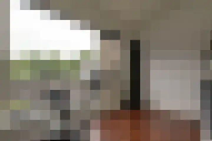 Wulpenhof 2 Schagen thumbnail 38