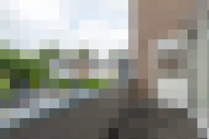 Wulpenhof 2 Schagen thumbnail 41