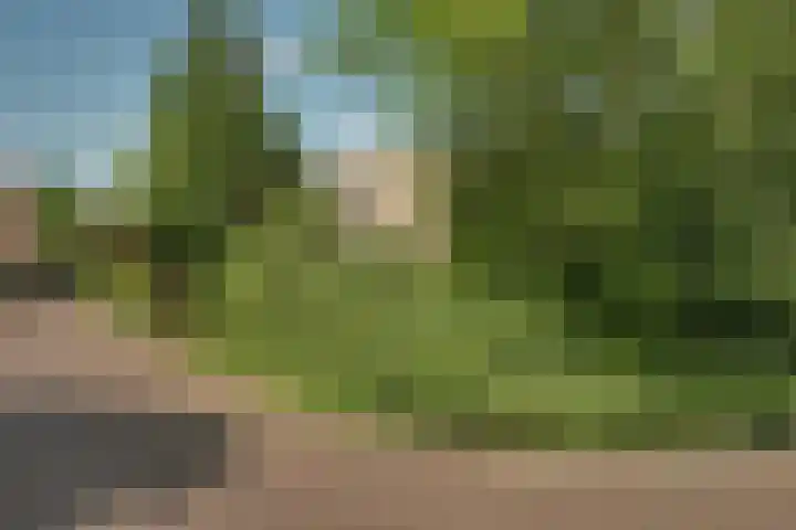 Wulpenhof 2 Schagen thumbnail 46