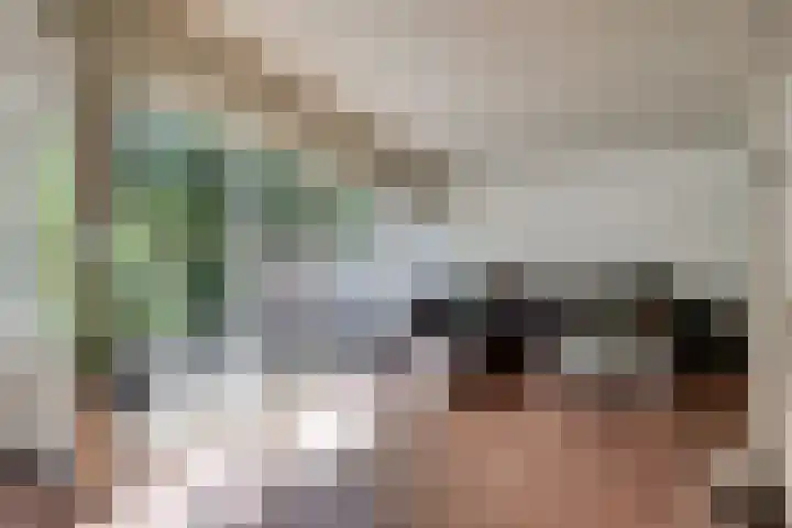 Wulpenhof 2 Schagen thumbnail 5