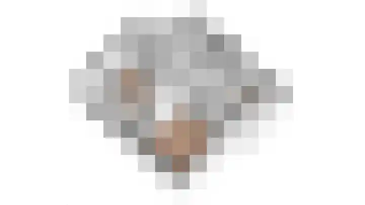 Wulpenhof 2 Schagen thumbnail 52