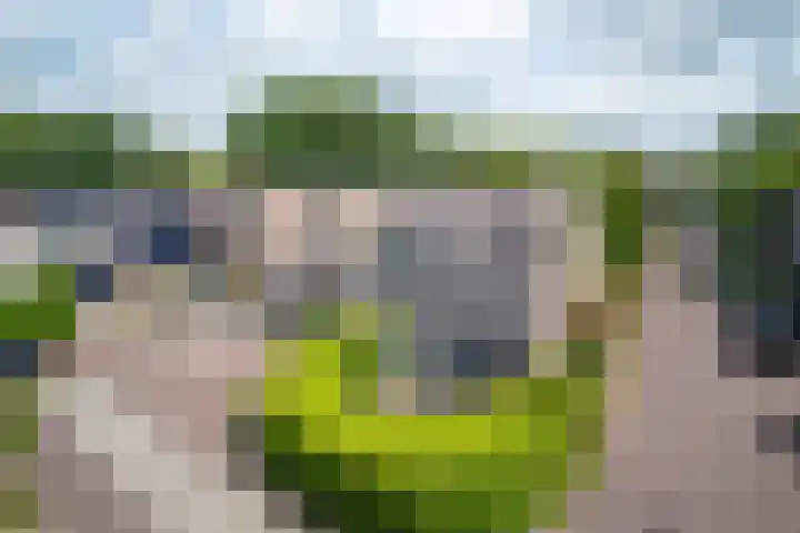 Wulpenhof 2 Schagen thumbnail 53