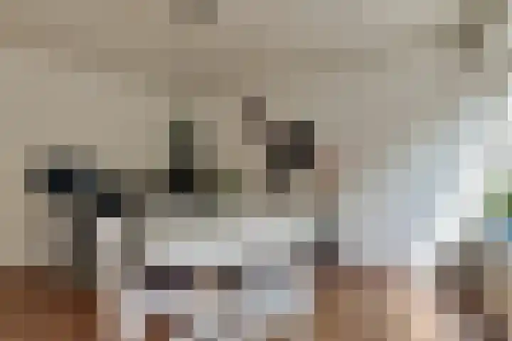 Wulpenhof 2 Schagen thumbnail 7