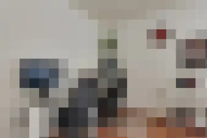 Wulpenhof 2 Schagen thumbnail 8